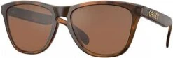 Oakley Frogskin, Sonnenbrille Prizm