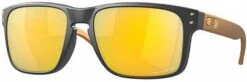 Oakley Holbrook Carbon, Sonnenbrille Prizm Polarized